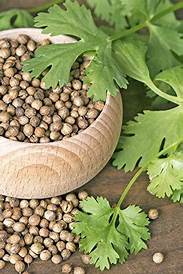 Natural Coriander Seed
